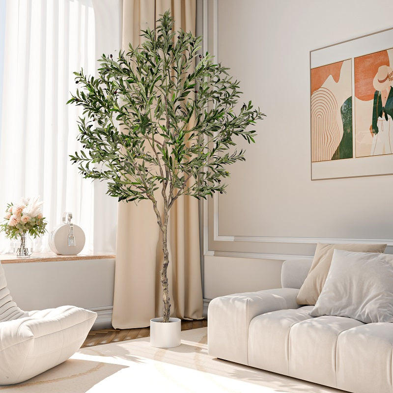 January Refresh: Timeless Greenery with Vitalismoplants