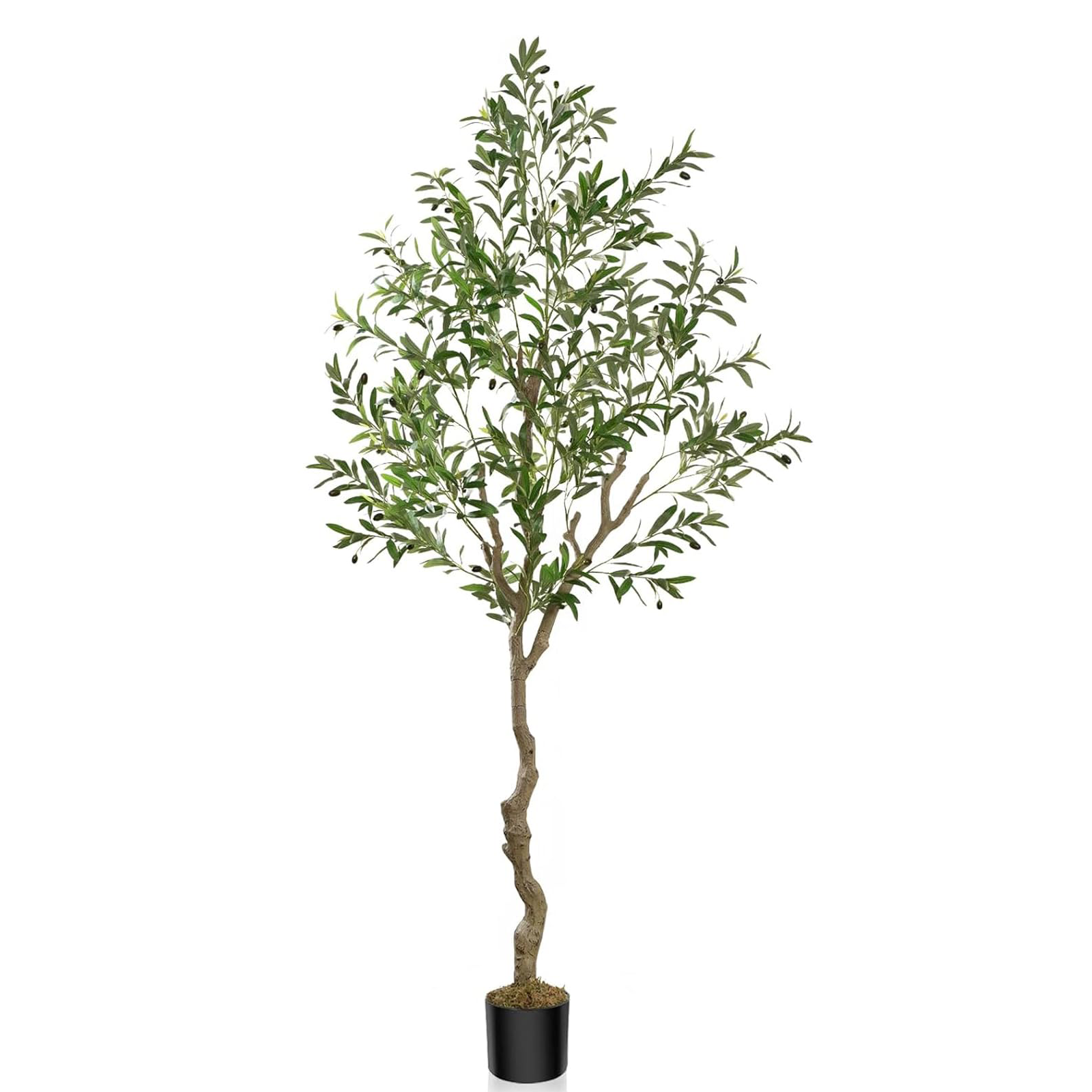 Artificial Plants-Best Sales