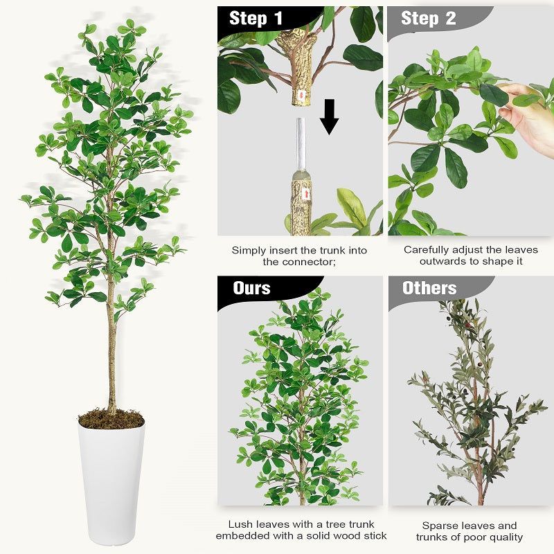Indoor Faux Tree | 6FT Black Faux OliveTree(With White Plastic Pot)