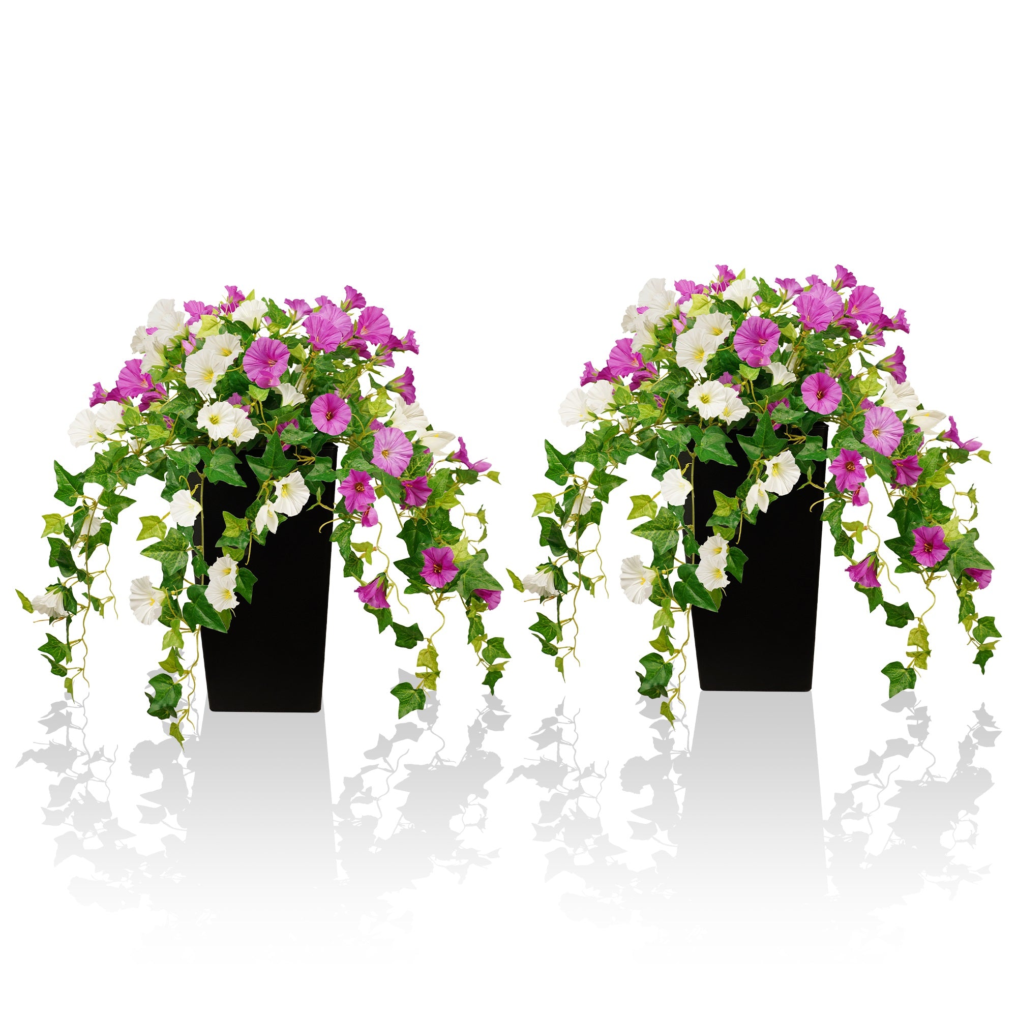 Silk Artificial Morning Glory With Black Pot(Available for purchase on February 24)