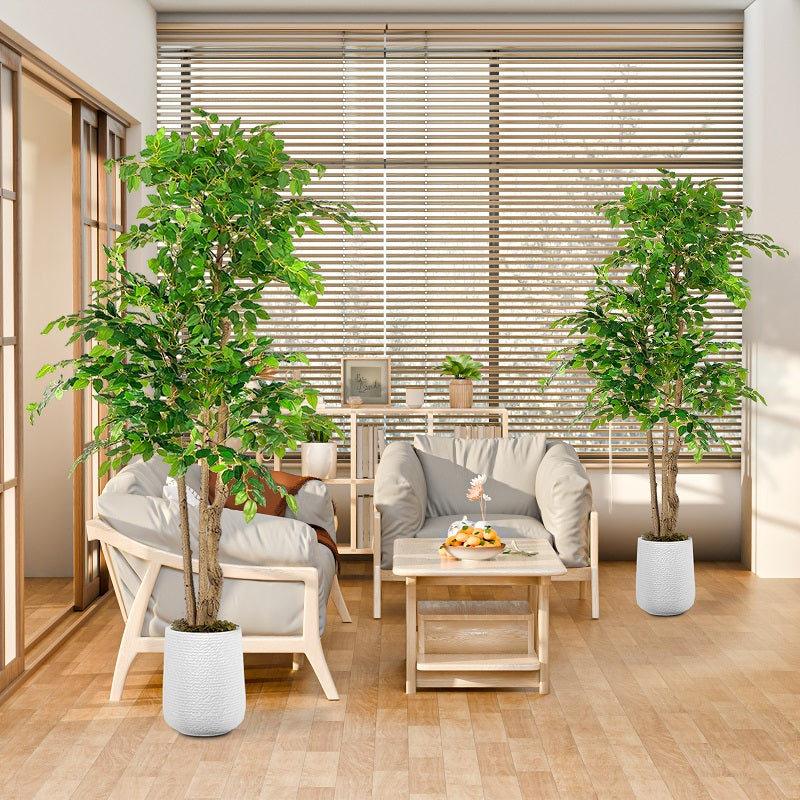 Tall Fake Plants | 6FT Artificial Ficus Tree(With White Plastic)