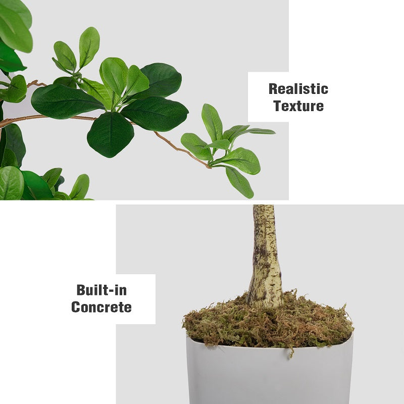 Indoor Faux Tree | 6FT Black Faux OliveTree(With White Plastic Pot)
