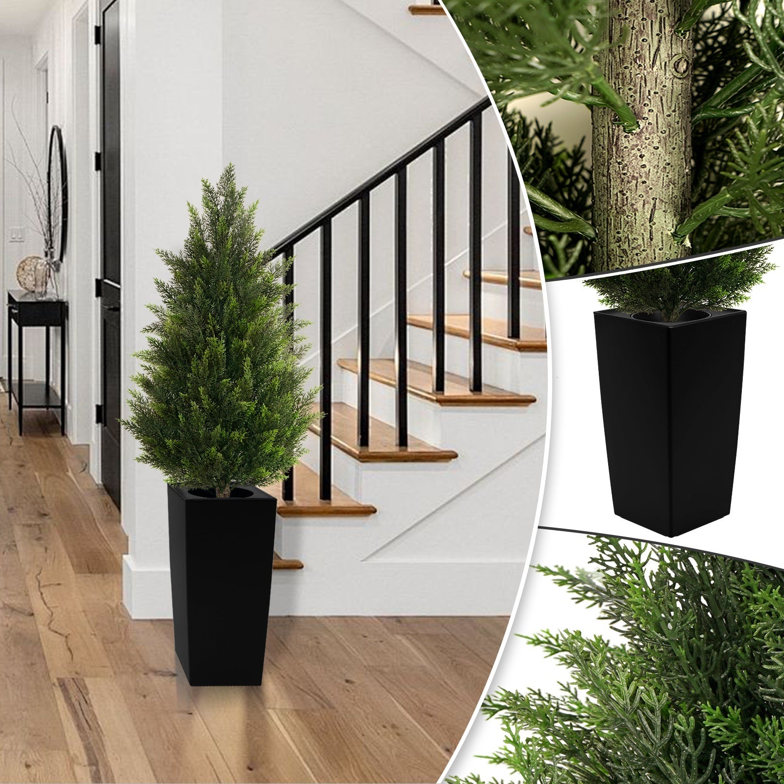 Black Pot with Cedar Trees