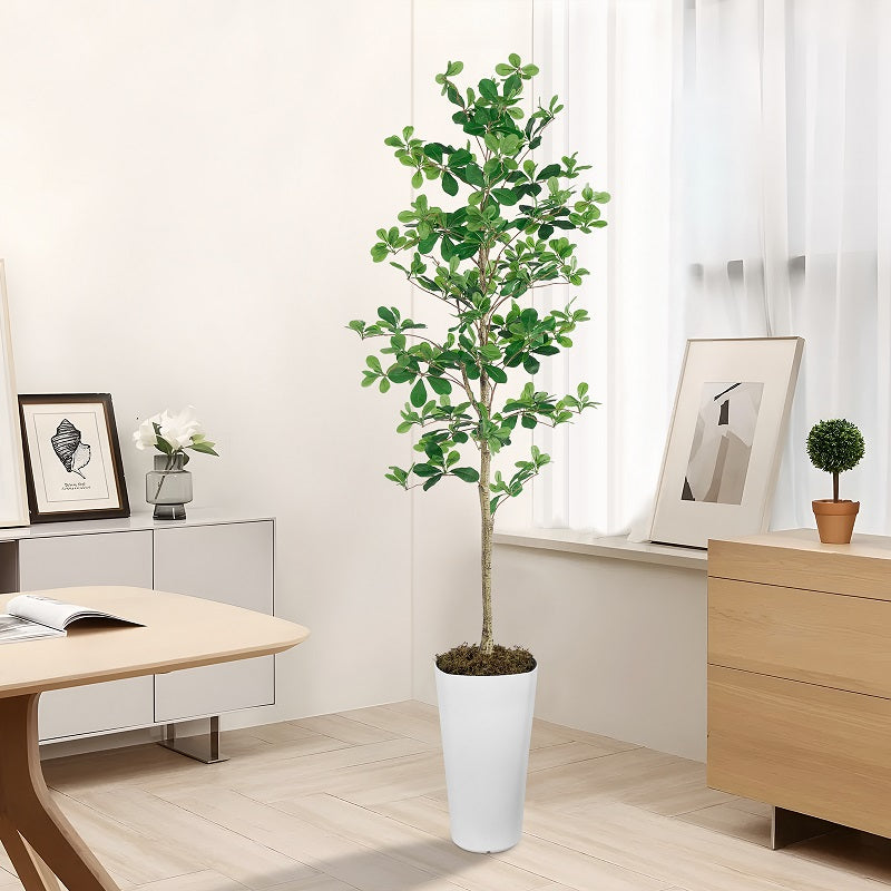 Indoor Faux Tree | 6FT Black Faux OliveTree(With White Plastic Pot)