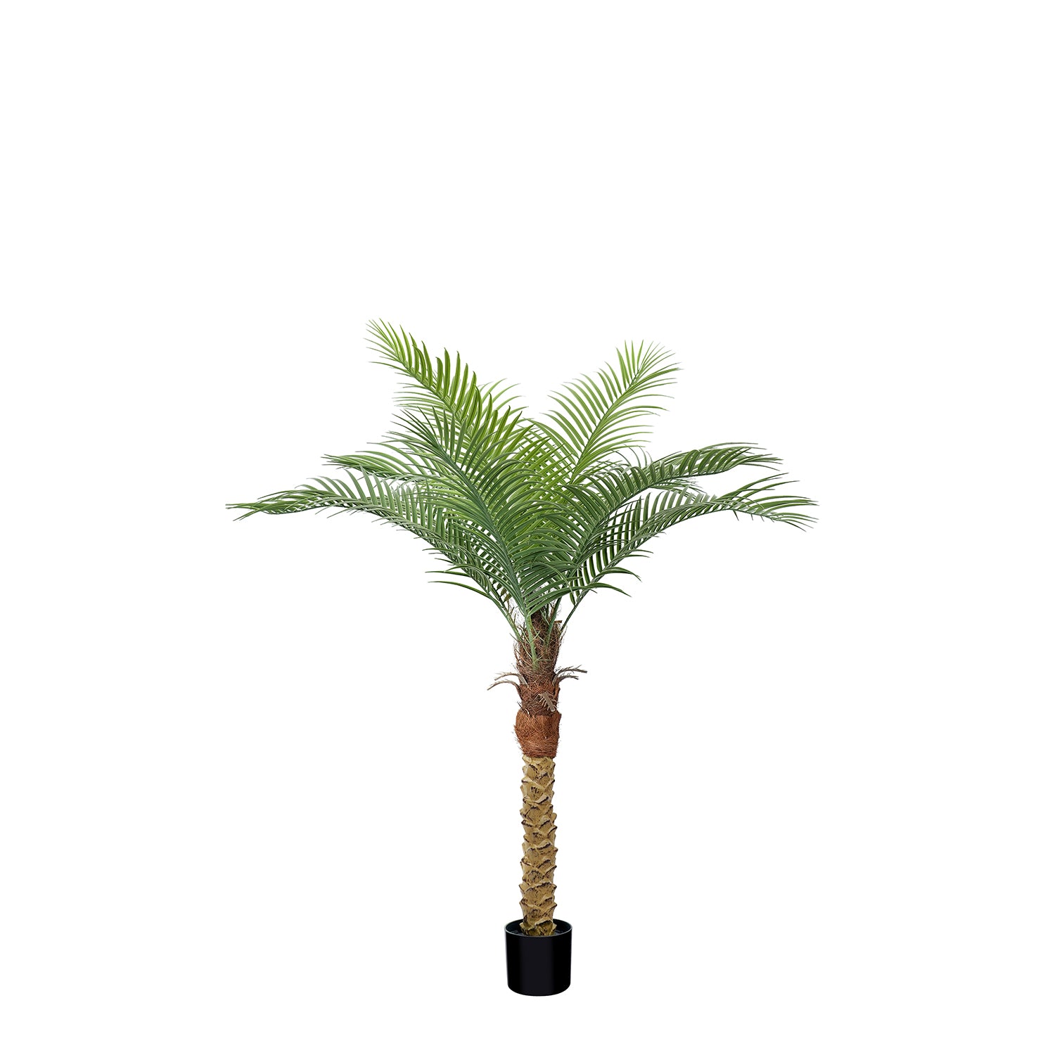 Toque Tropical | Palmera Fénix Artificial de 2,24 m (7/8/9 pies) con Protección UV