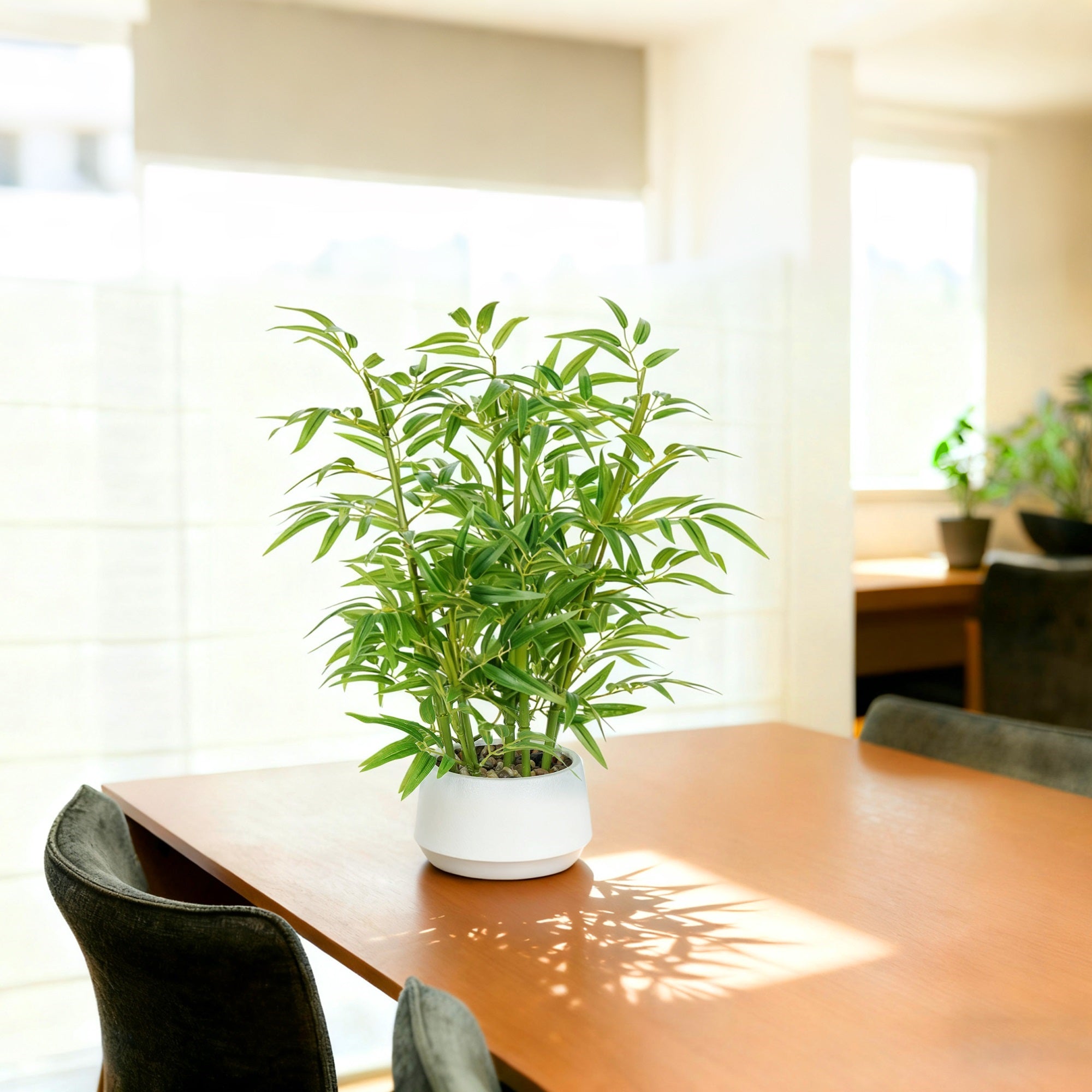 1.5FT (50CM) Artificial Bamboo Bonsai(With White Pot)