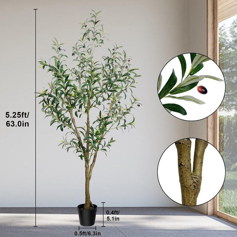 #Size_5.25FT(165CM)