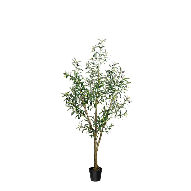 #Size_5.25FT(165CM)