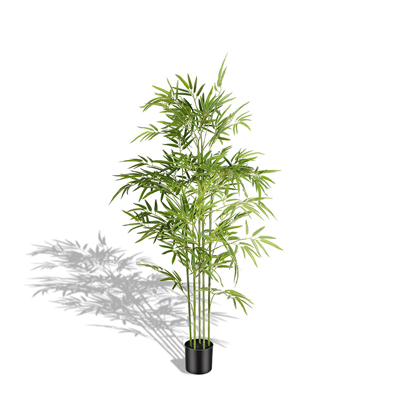 #Size_5FT(150cm)