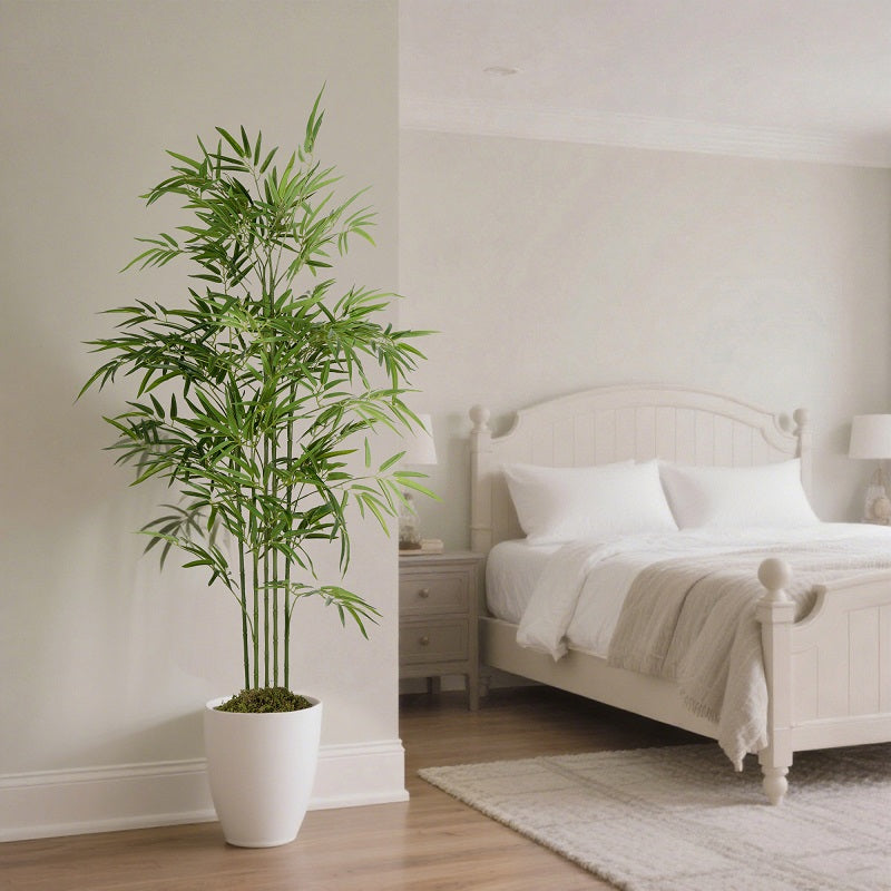 #Size_5FT(150cm)