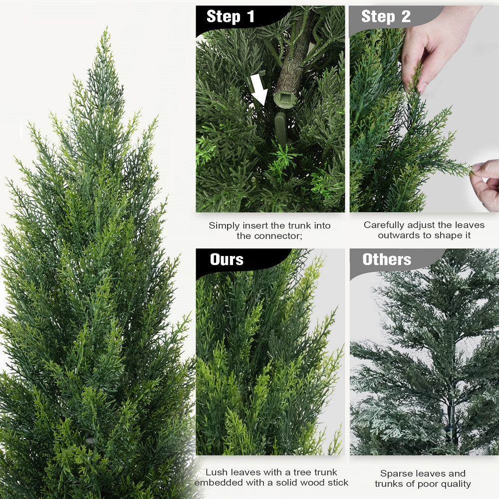 #Style_Cedar Trees