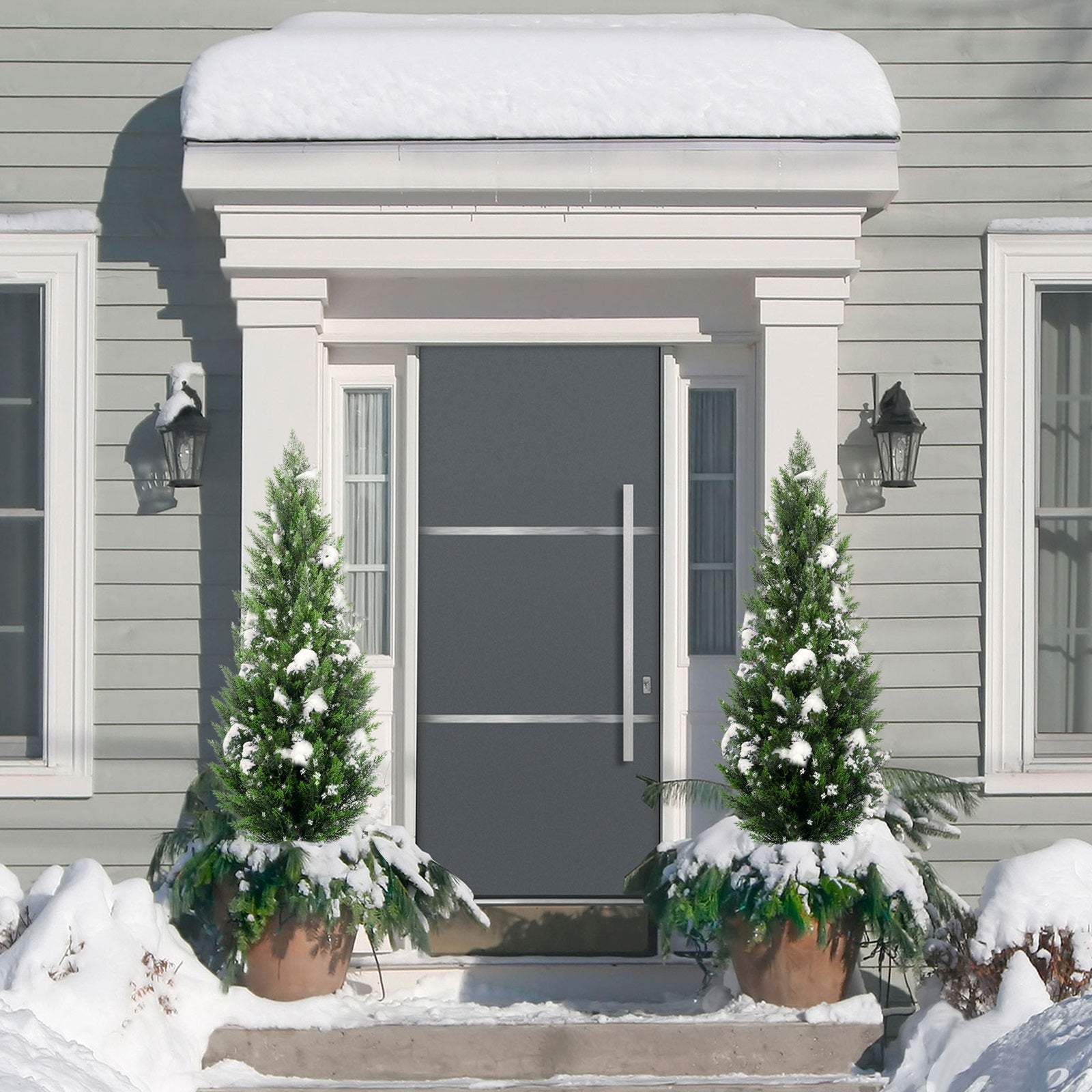 #Style_Cedar Trees