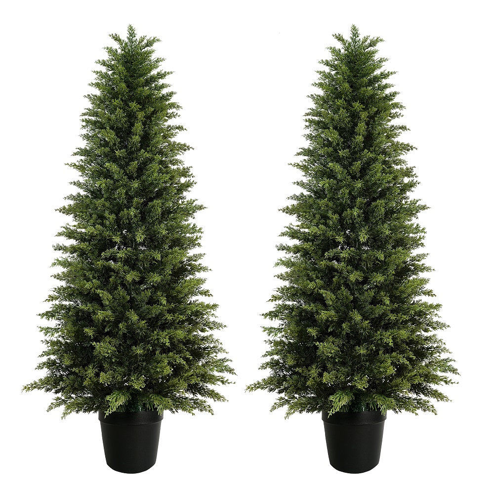#Style_Cypress Trees