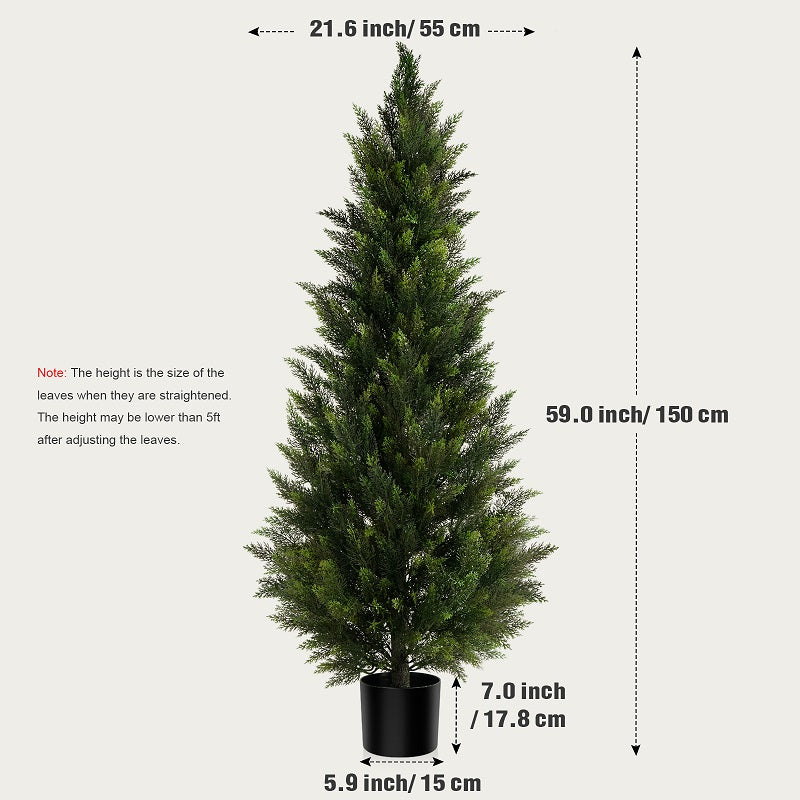 #Size_5FT(150cm)