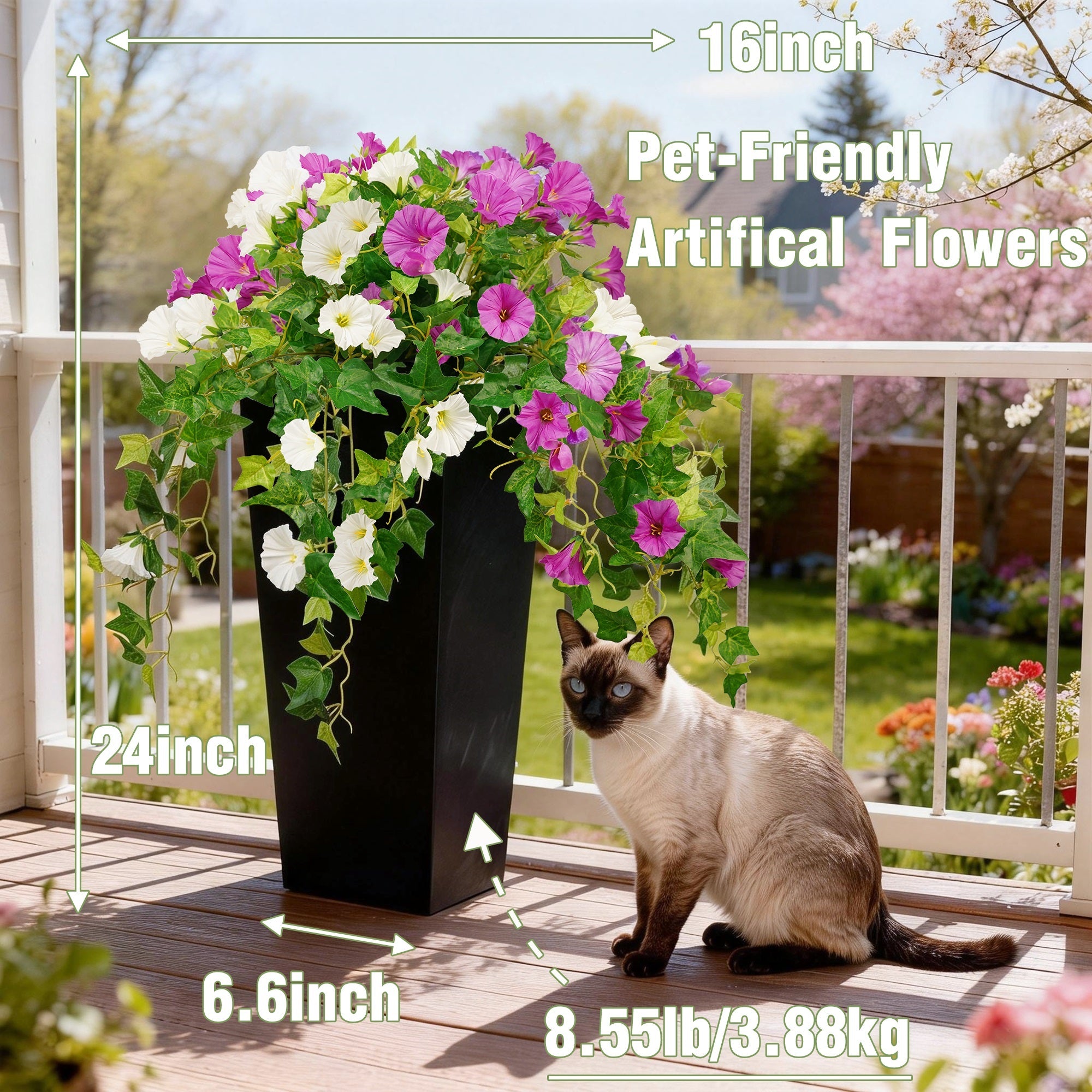 #Style_Morning Glory