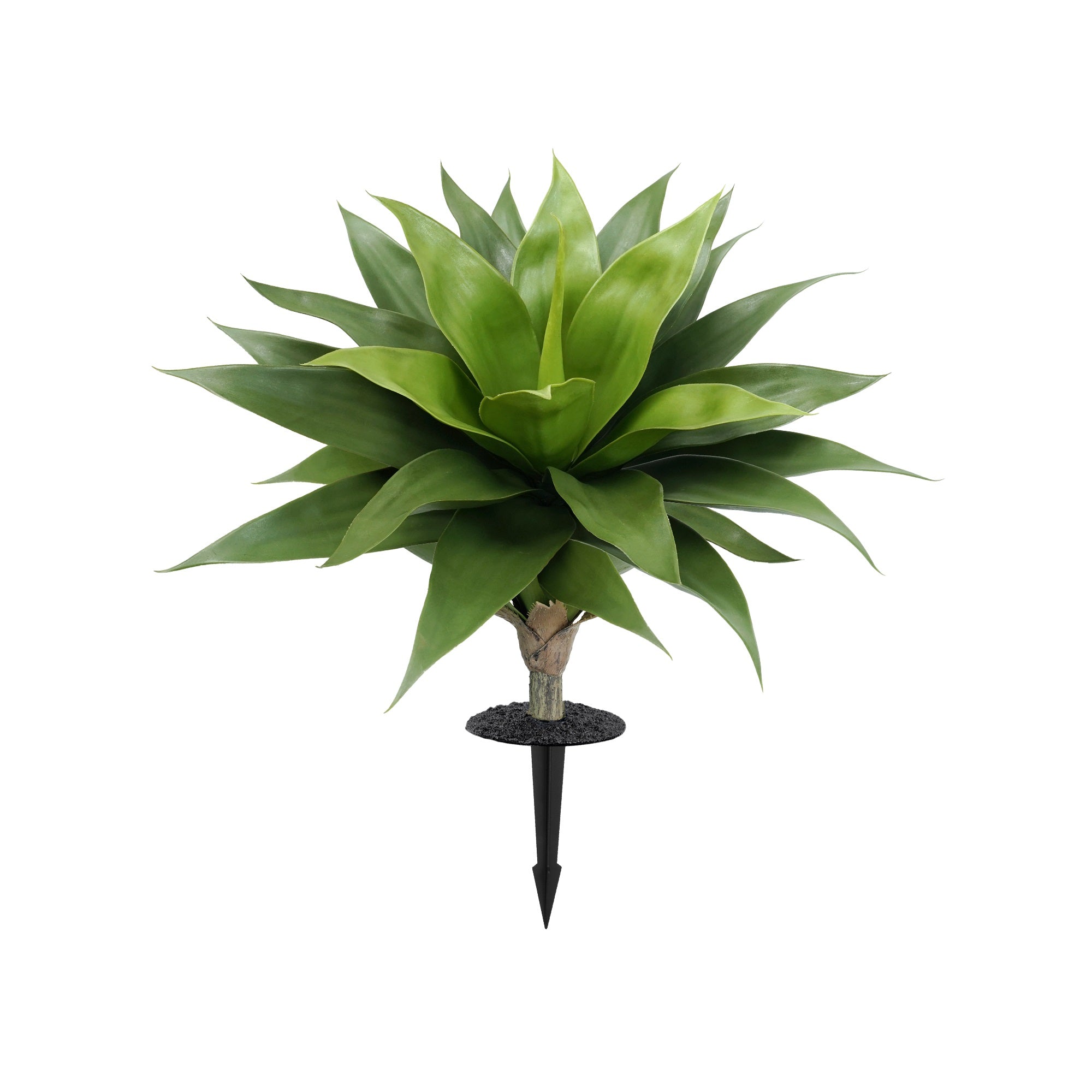 #Size_Green Pauline-65cm