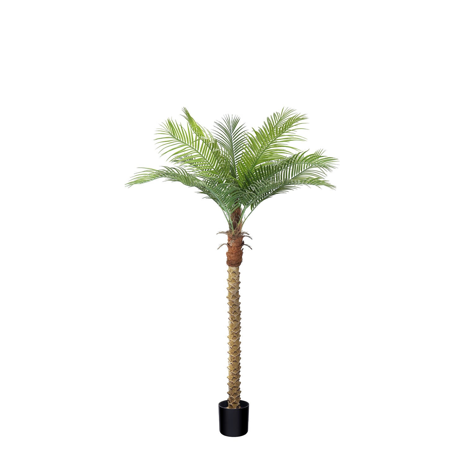 Toque Tropical | Palmera Fénix Artificial de 2,24 m (7/8/9 pies) con Protección UV