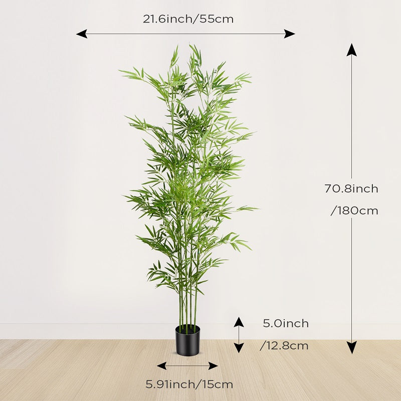 #Size_6FT(180cm)