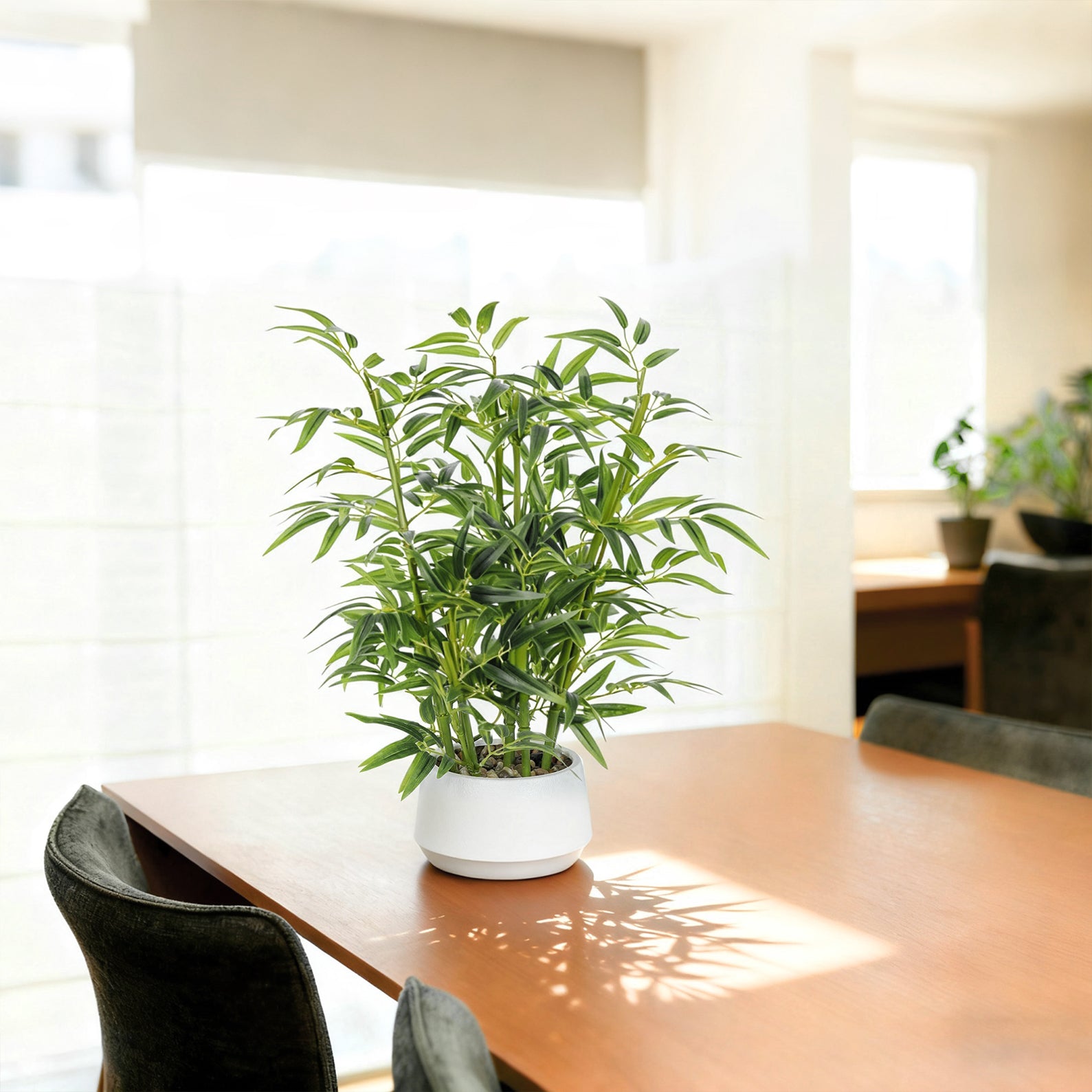 1.5FT (50CM) Artificial Lucky Bamboo Bonsai(With White Pot)