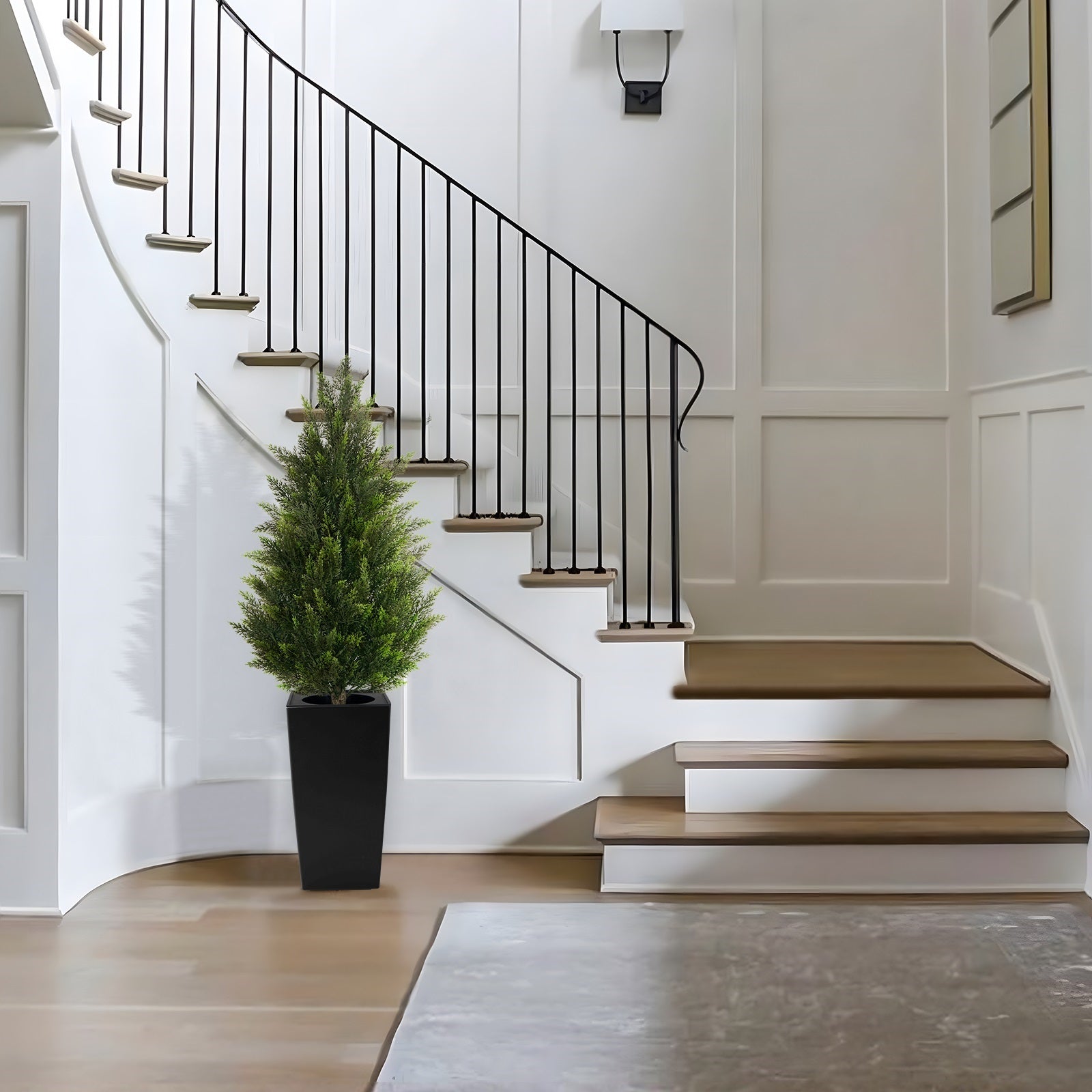 Black Pot with Cedar Trees