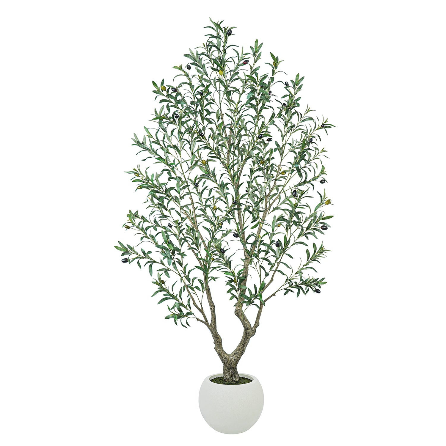 #Size_7FT(215cm)1429 leaves 64 fruits