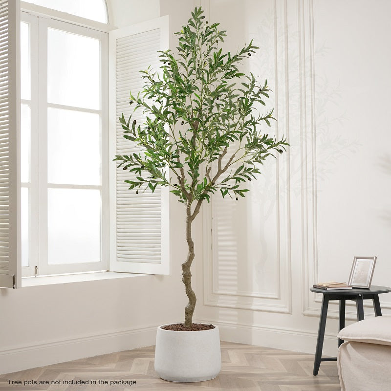 #Size_7FT 968 leaves and 46 fruits