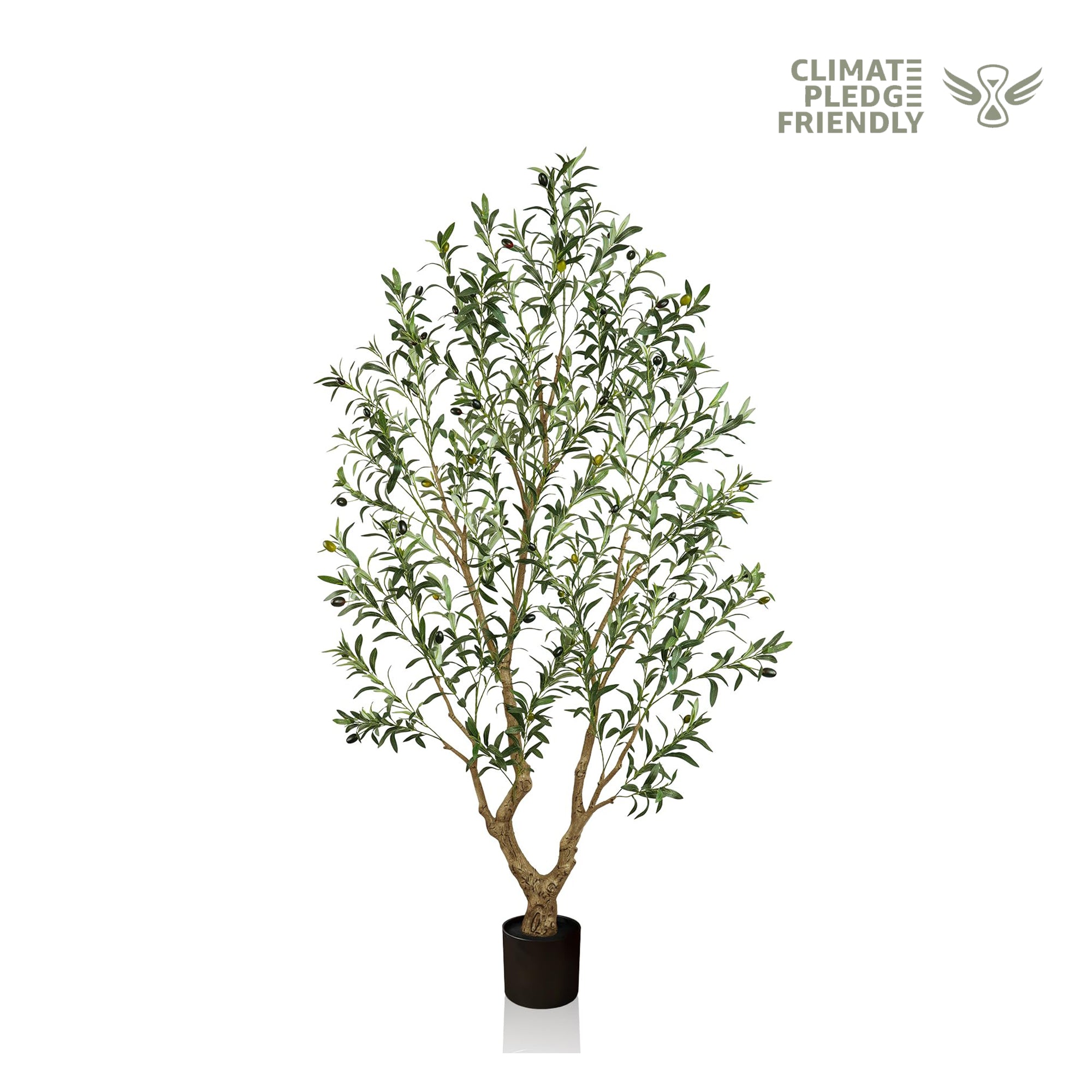 #Size_7'(215 cm)1312 leaves
