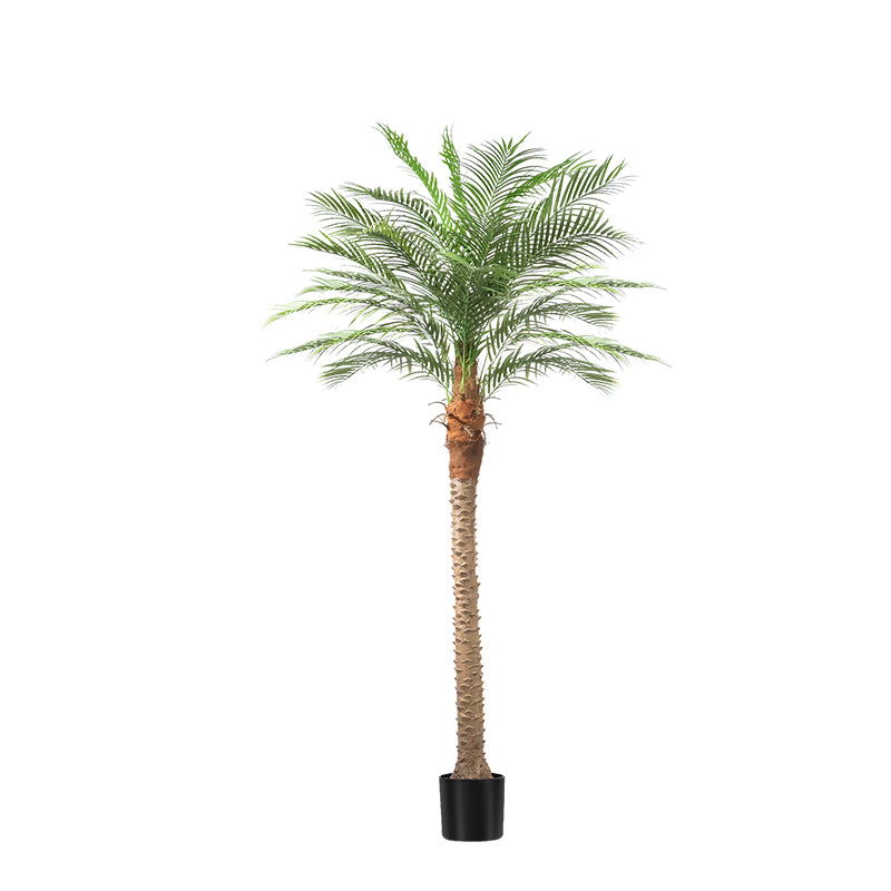 #Size_8FT 18 leaves(240CM)