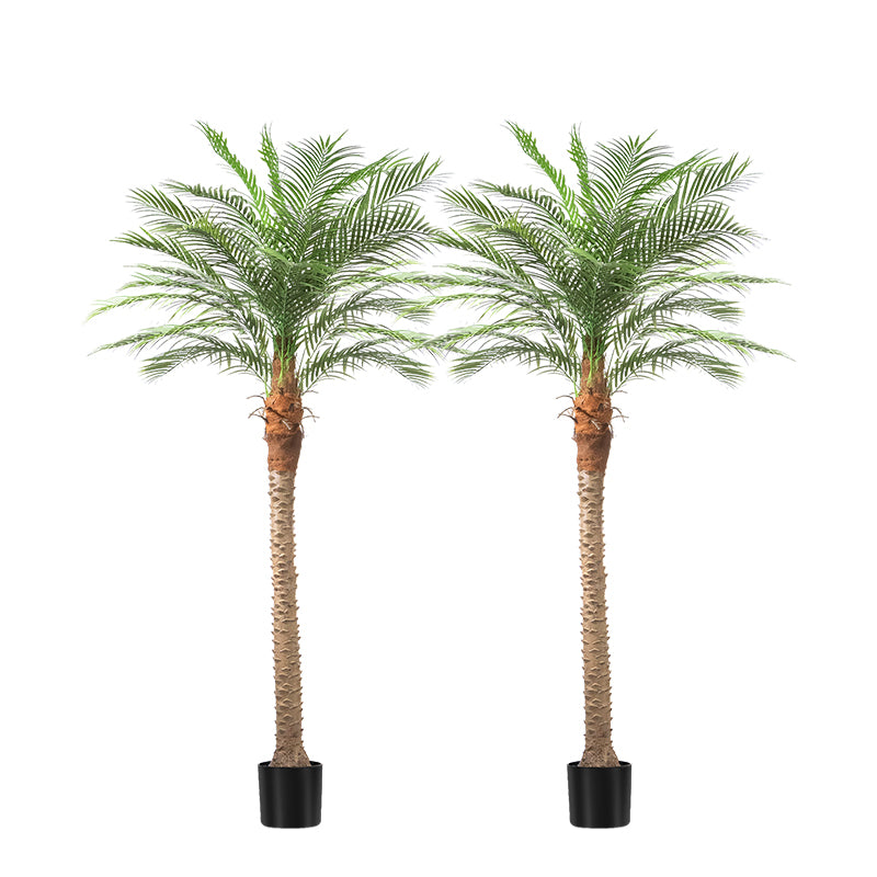 #Size_8FT 18 leaves(240CM)