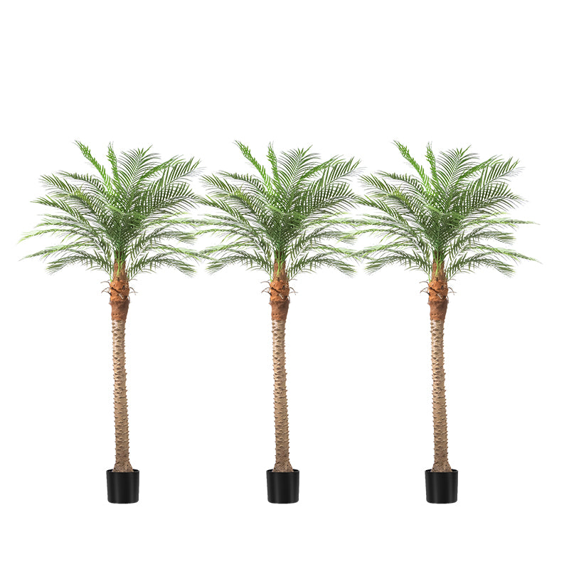 #Size_8FT 18 leaves(240CM)