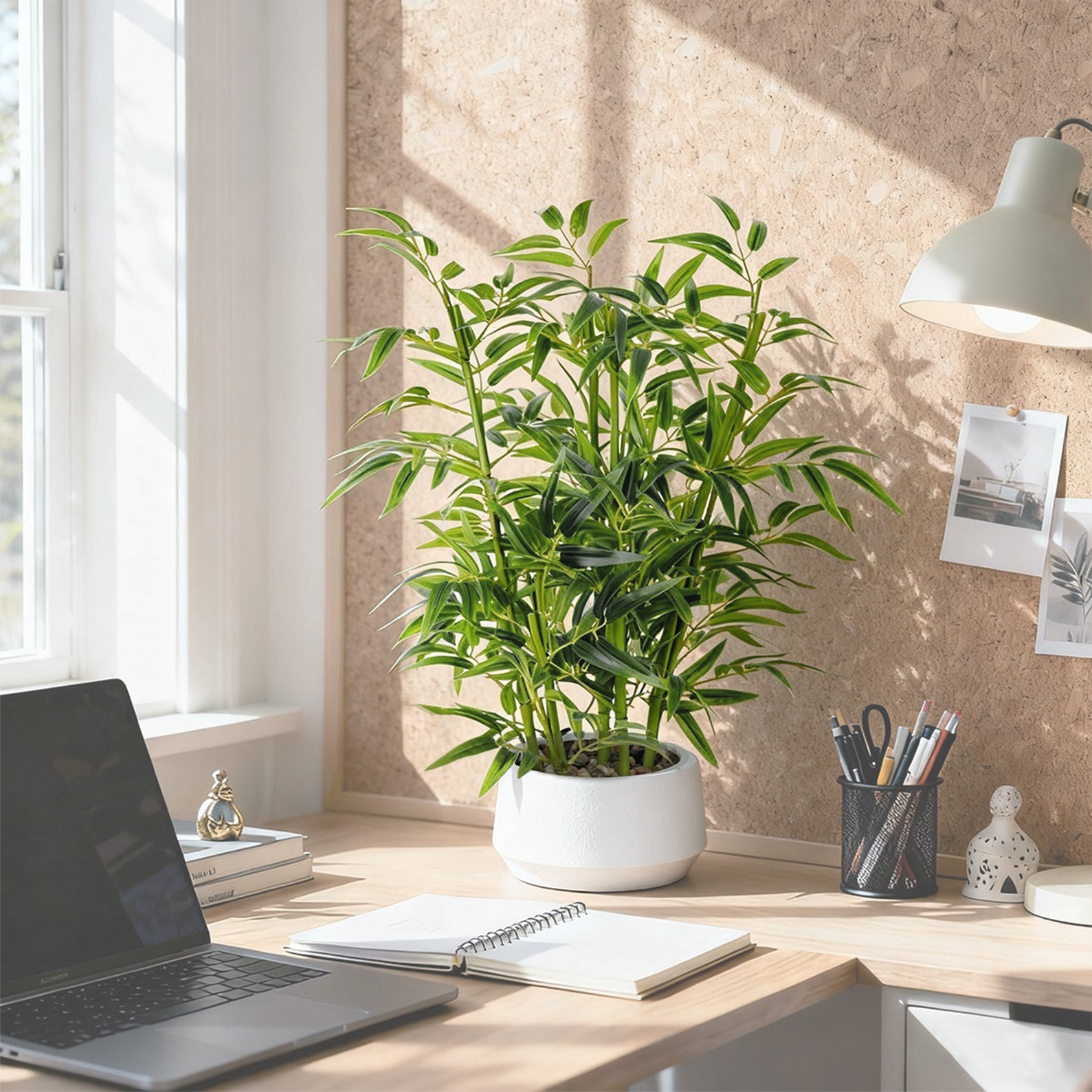 1.5FT (50CM) Artificial Lucky Bamboo Bonsai(With White Pot)