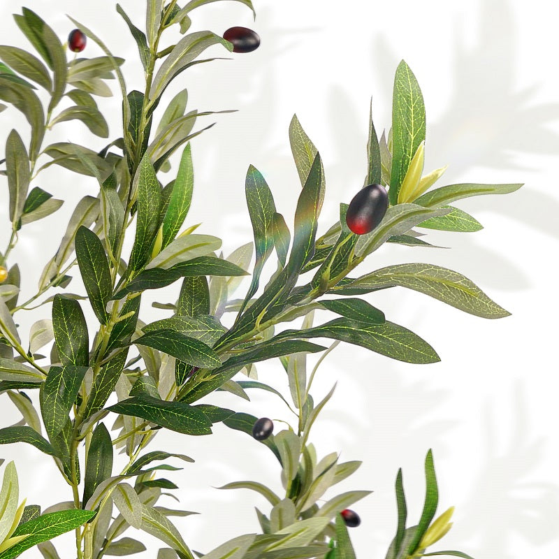 #Size_8FT 1808 leaves 76 fruits