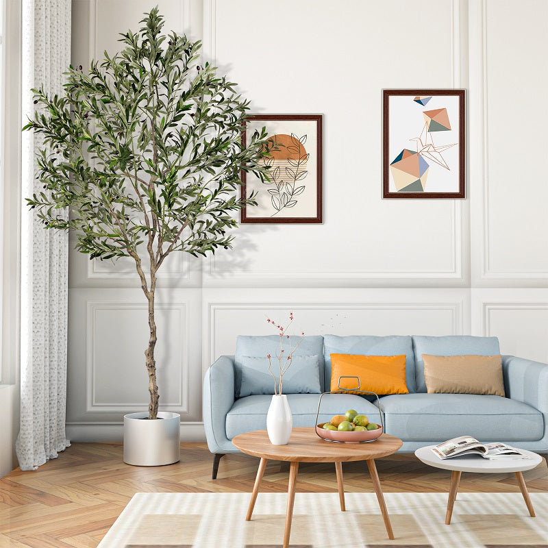 #Size_8FT 1808 leaves 76 fruits