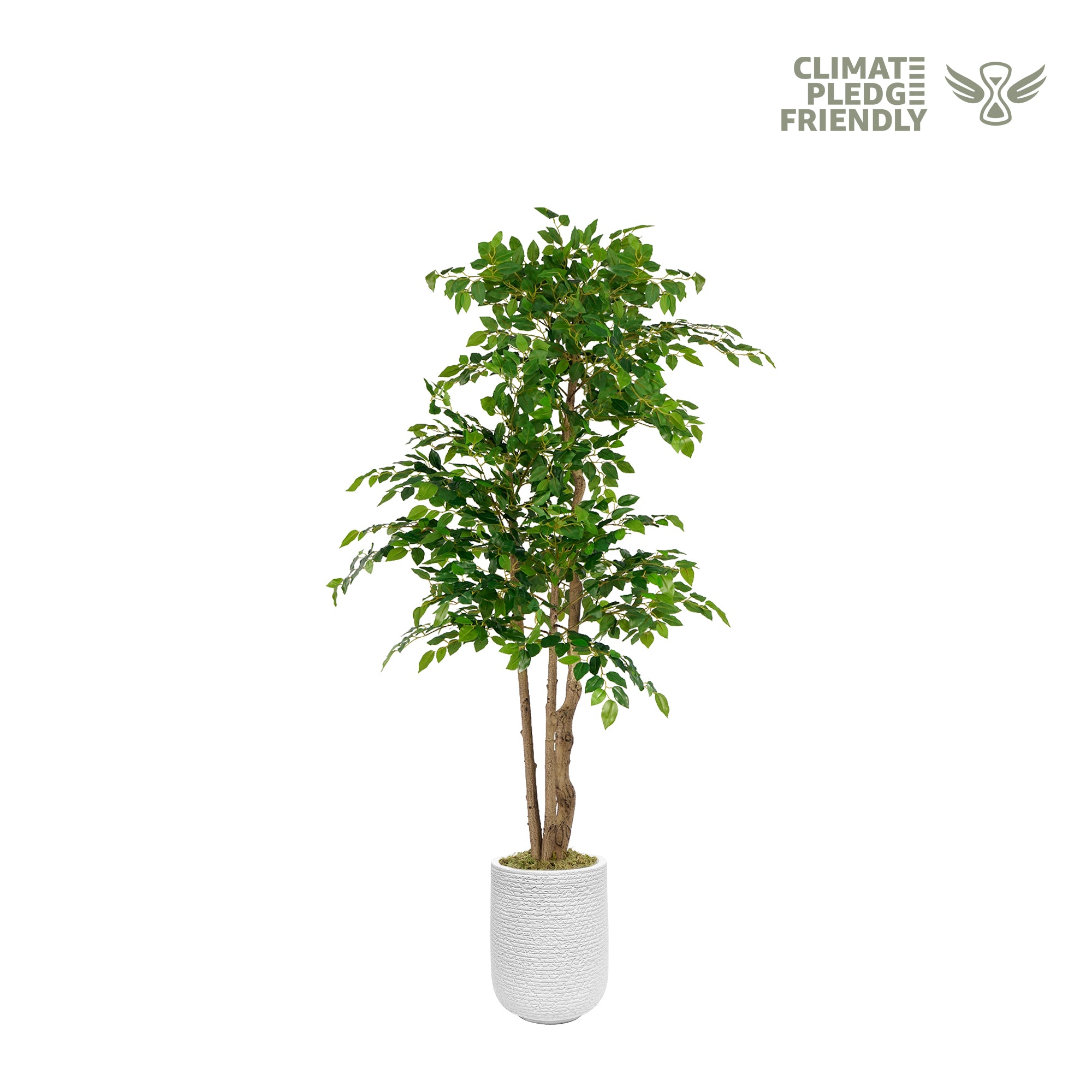 Vitalismo 5.6 ft. Tall Artificial Ficus Tree with 3-Natural Curved Trunks Dense Faux Ficus Tree for Indoor Home Decor