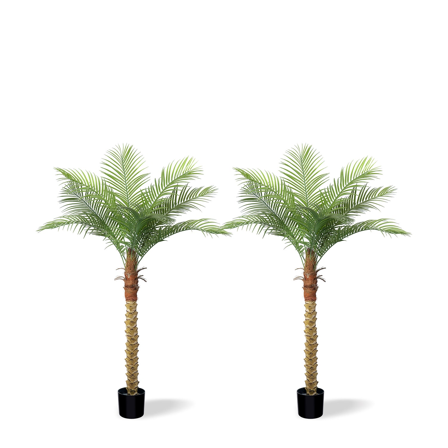 Toque Tropical | Palmera Fénix Artificial de 2,24 m (7/8/9 pies) con Protección UV