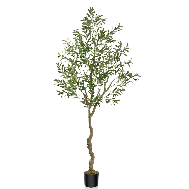 #Size_7FT 968 leaves and 46 fruits