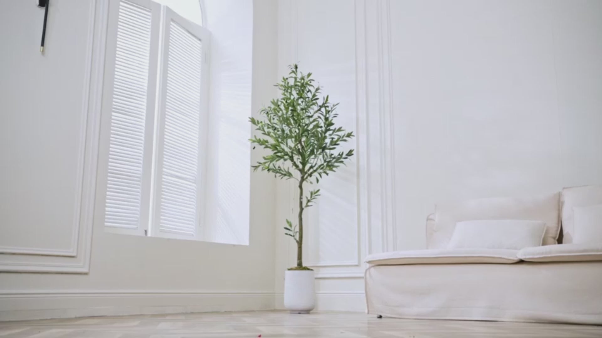 #Size_6FT 863 Leaves 36 Fruits