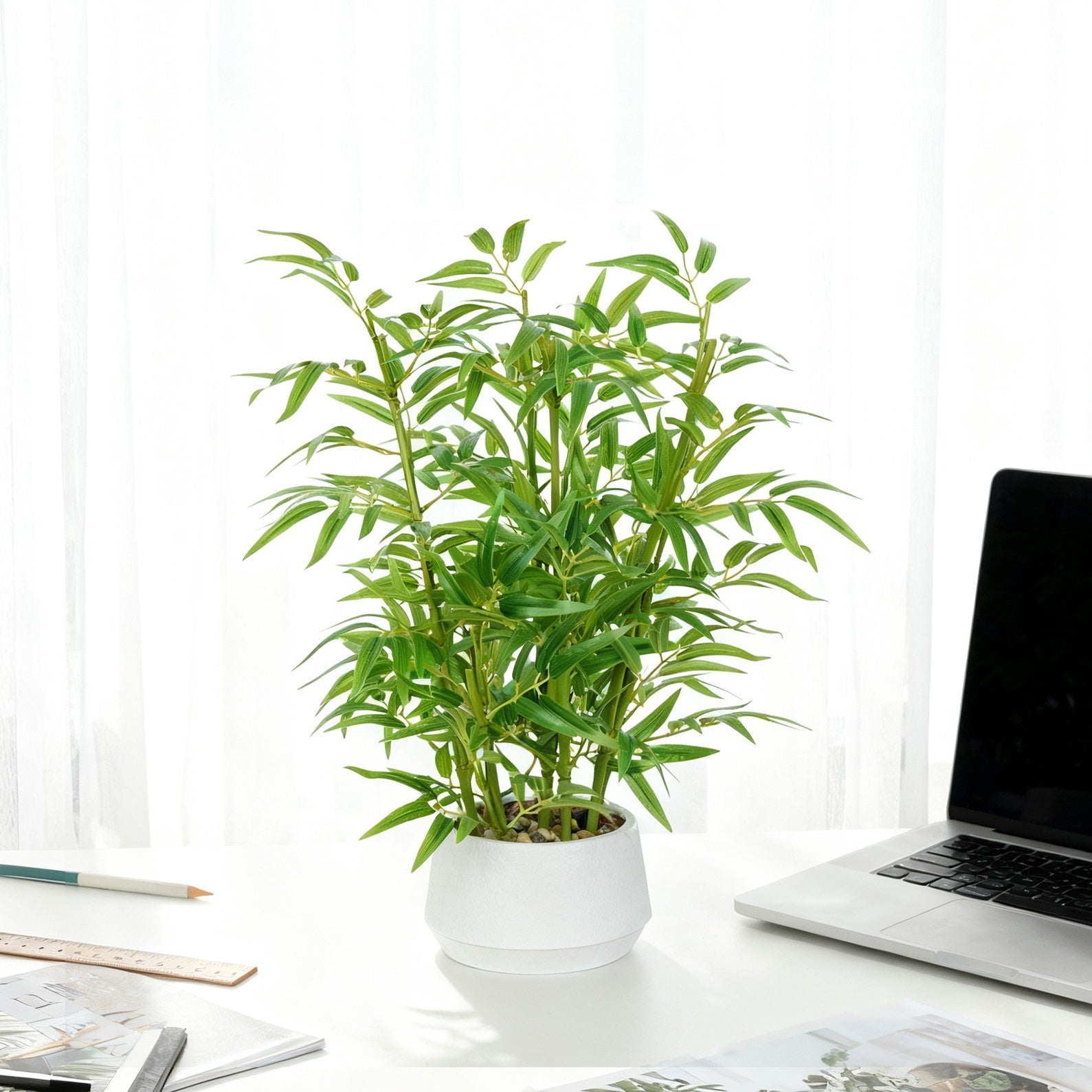 1.5FT (50CM) Artificial Bamboo Bonsai(With White Pot)