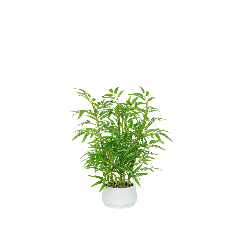 1.5FT (50CM) Artificial Bamboo Bonsai(With White Pot)