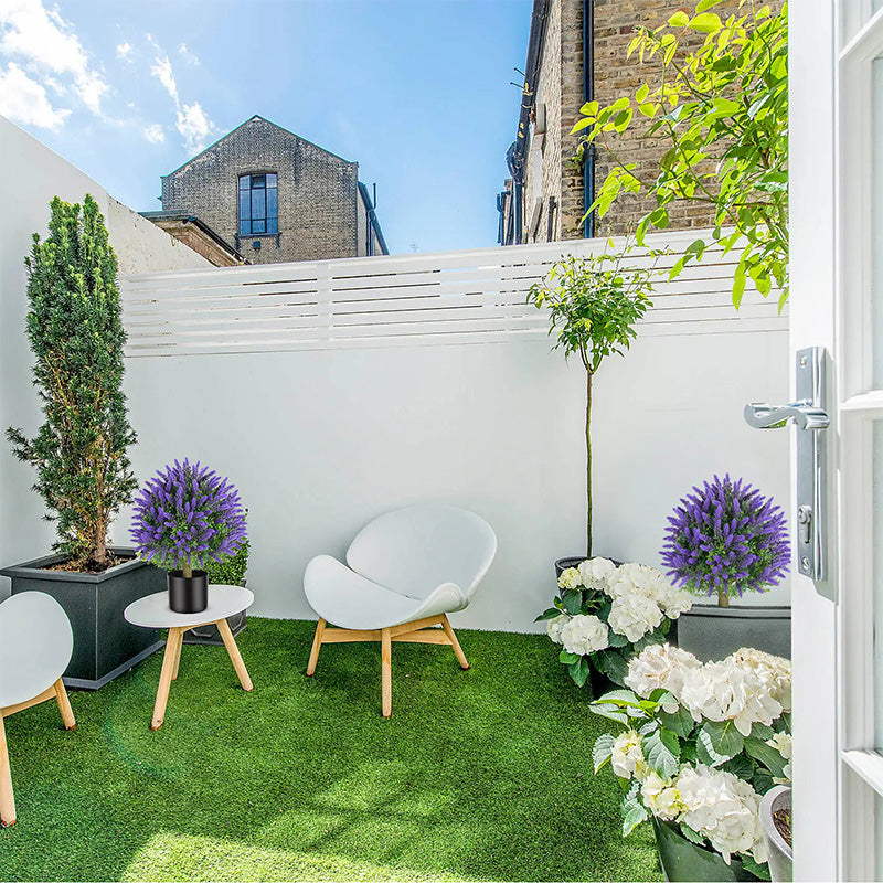 Lavender potted plants