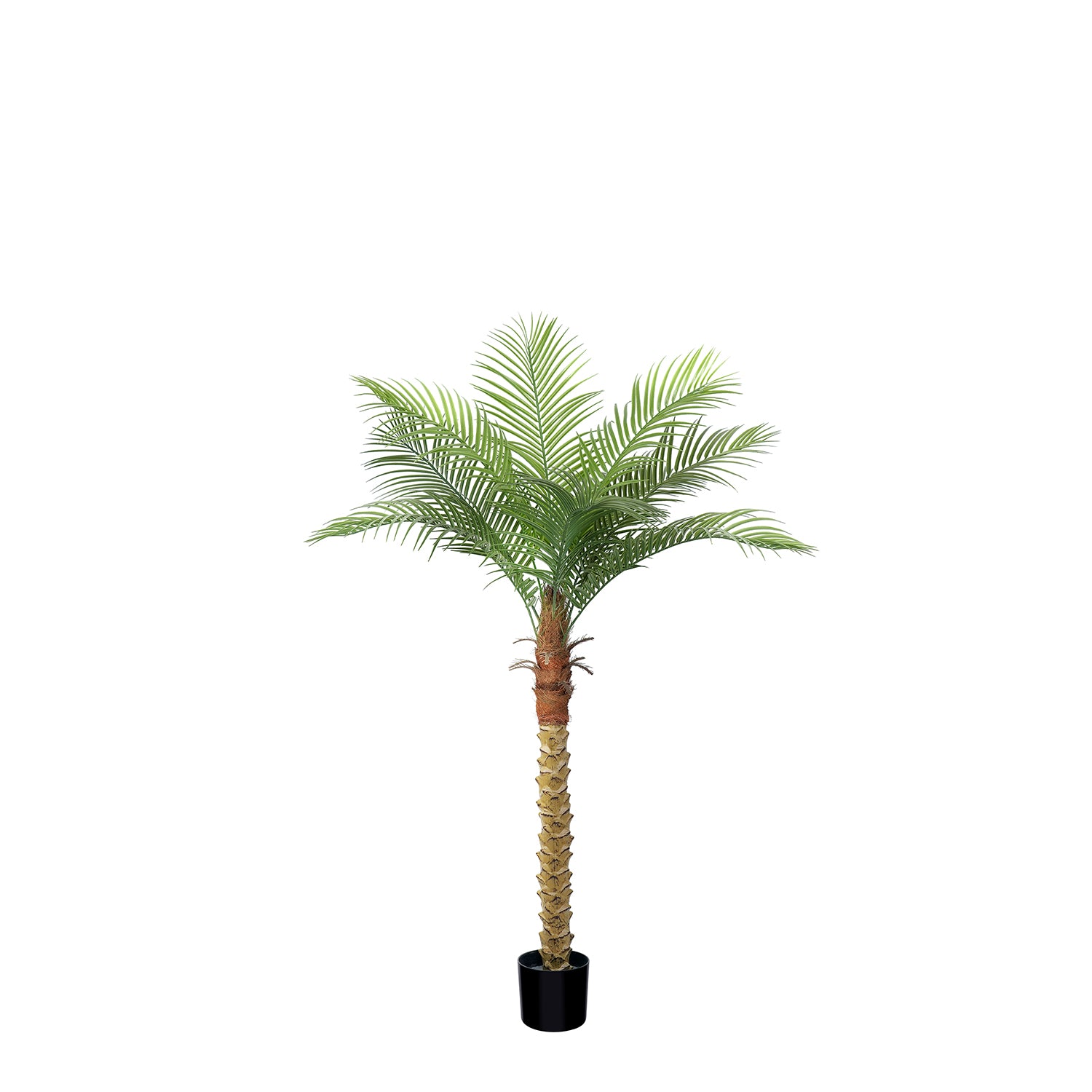 Toque Tropical | Palmera Fénix Artificial de 2,24 m (7/8/9 pies) con Protección UV