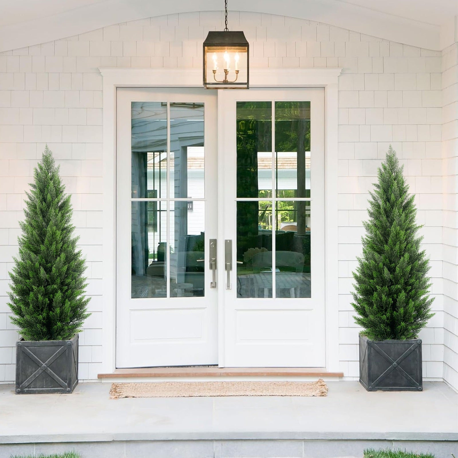 #Style_Cedar Trees
