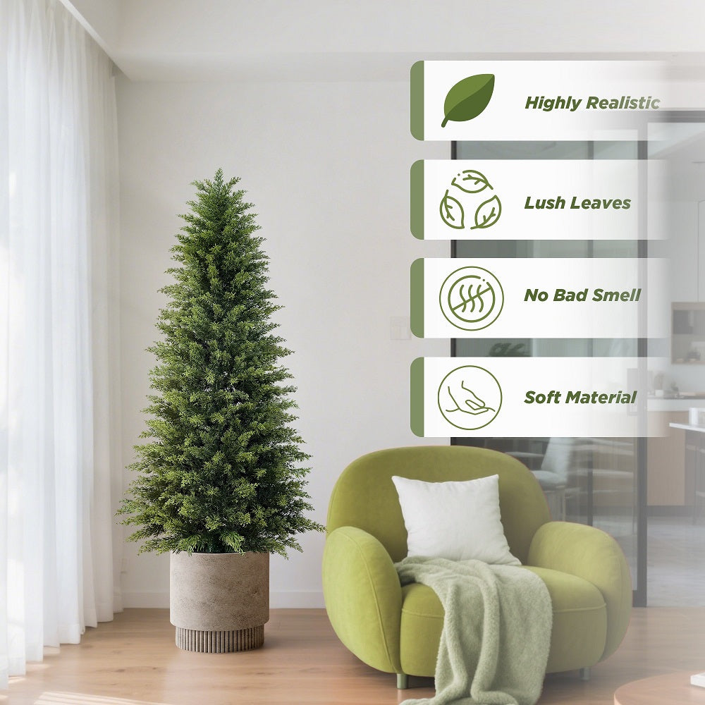 #Style_Cypress Trees