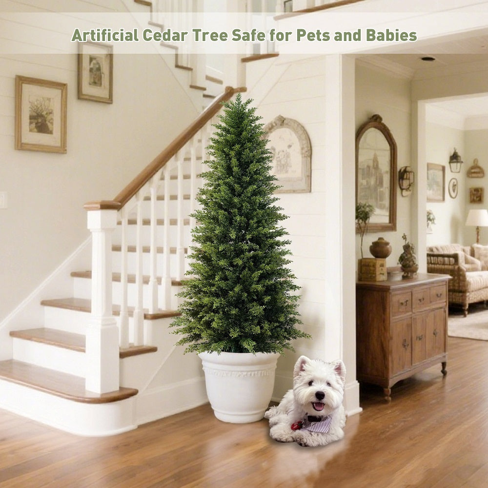 #Style_Cypress Trees
