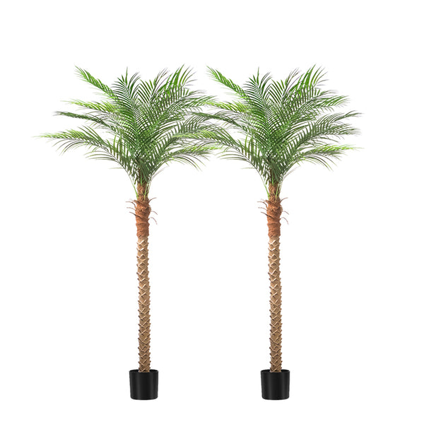 春に散るWDS×EVERLAST PALM TREE SATIN Sサイズ 7FT_Palm_Tree_2Pack_grande.jpg