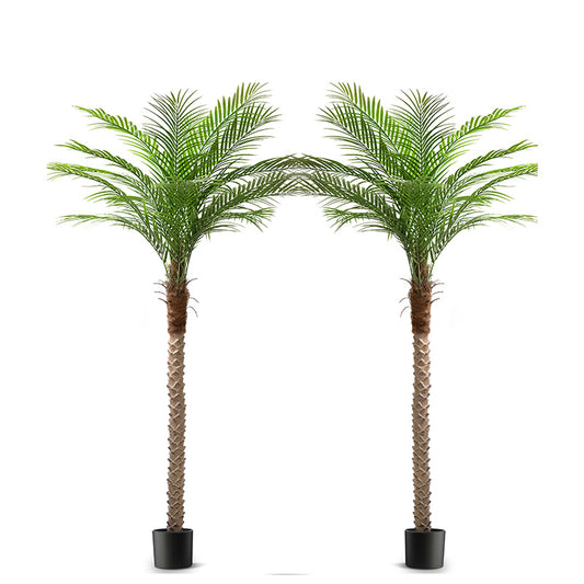 #Size_7FT&Select_2Pack