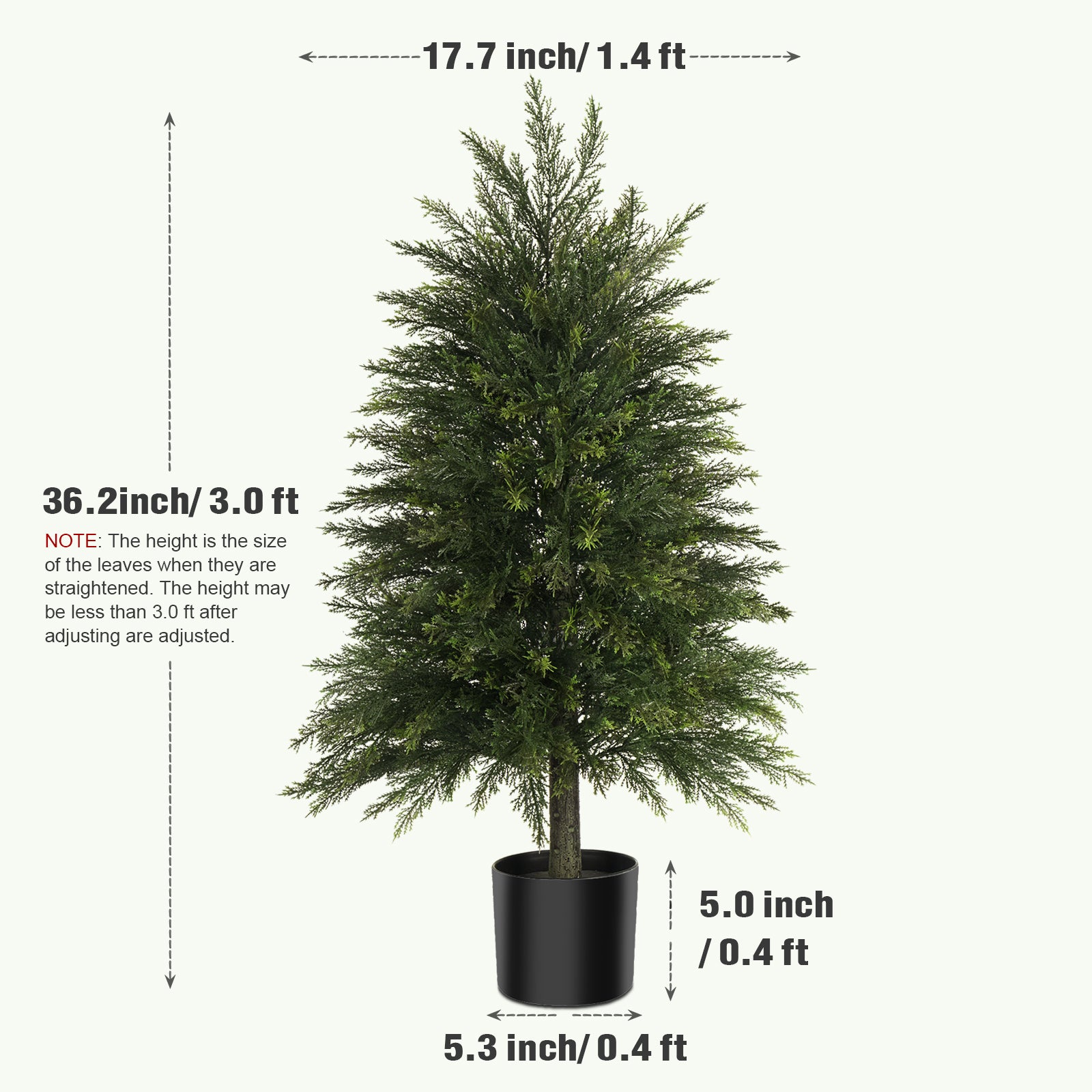 #Size_3FT
