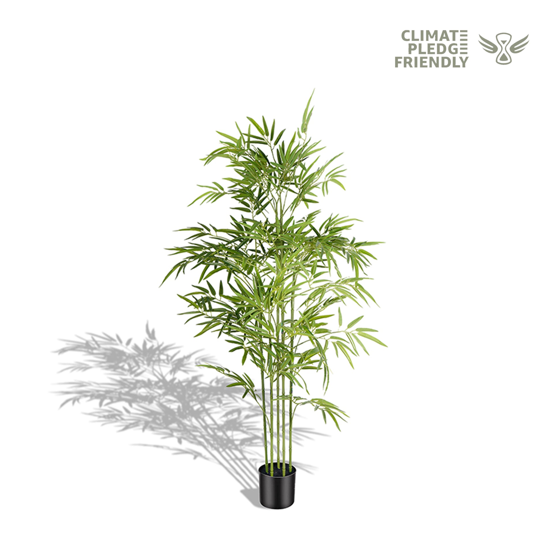 silk lucky bamboo plants Silk Bamboo Trees
