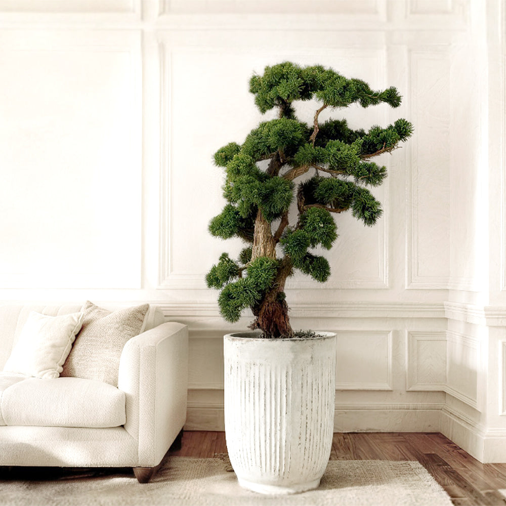 Custom-made plants arrangements for tabletops (Please contact customer service)