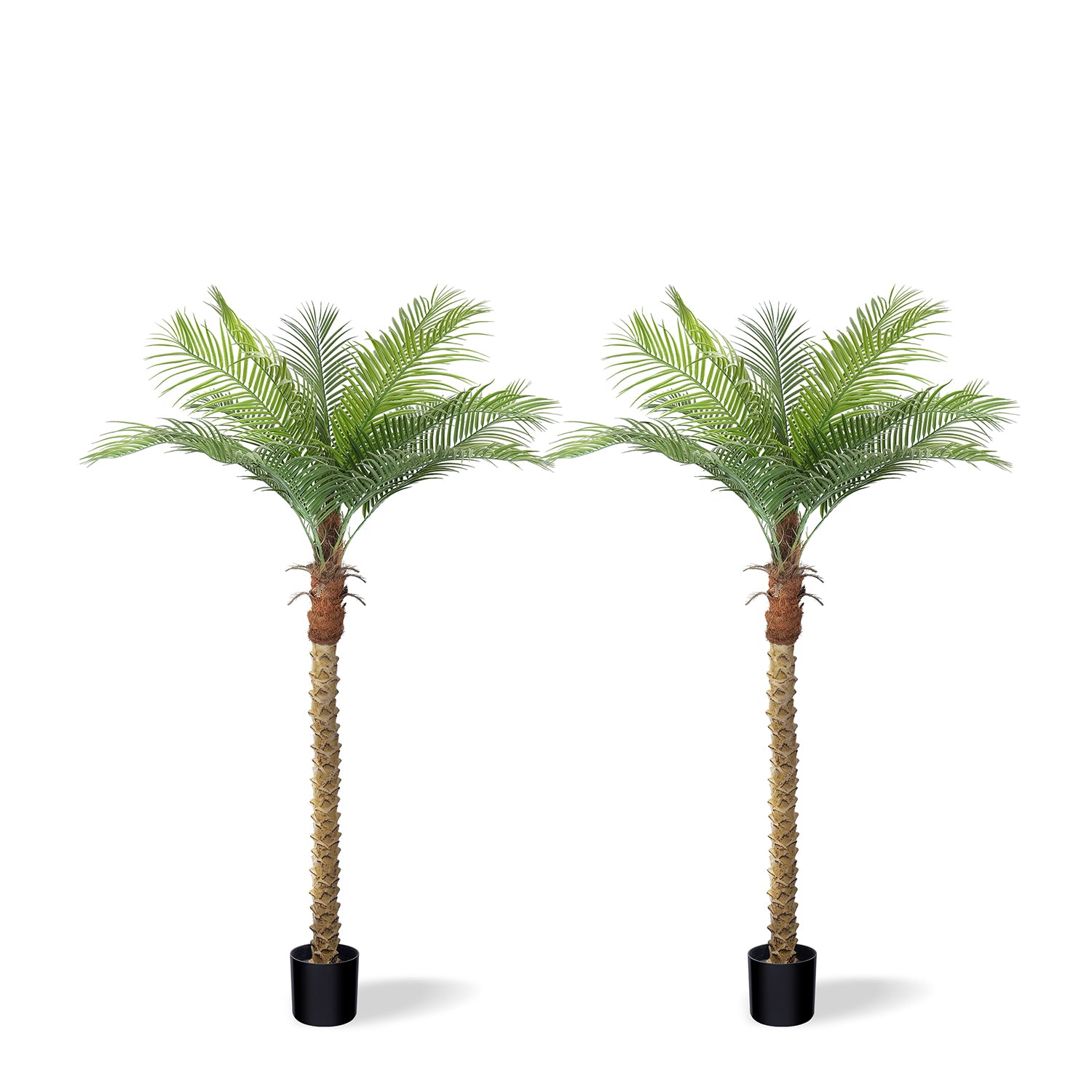 Toque Tropical | Palmera Fénix Artificial de 2,24 m (7/8/9 pies) con Protección UV
